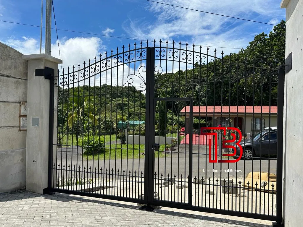 Portón Vehicular Clásico de Doble Hoja con Arco y Puntas de Lanza - Vista 2