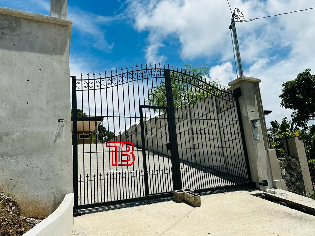 Portón Vehicular Clásico de Doble Hoja con Arco y Puntas de Lanza - Vista 4