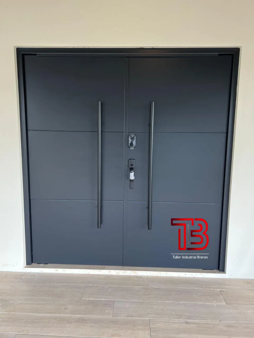 Puerta de Pivot Negra Lisa